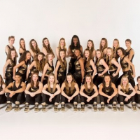 Dance Force, L.L.C.