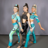 Showdansskolan Flex AB