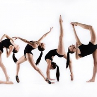 Danzart Studio