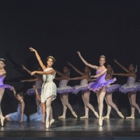 Sevilla Dance School