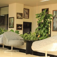 Moves Dance Studio