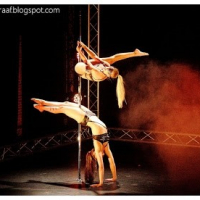 Duo Poledance Directory