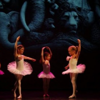 Espace Temps Danse