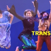 Everybody Dance