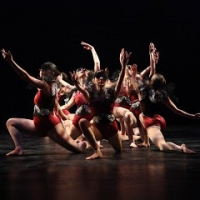 Harbour Dance Studios Inc.