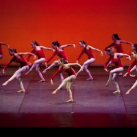 La Danse Studio SL