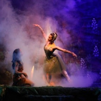 Le Rêve Dança