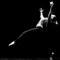 Le Studio La Danse