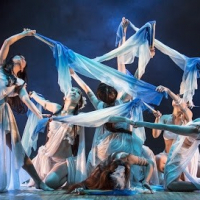 Onstage Bellydance Groove