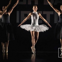 Newdancefactory