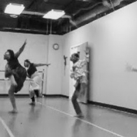 Sheena's Platinum Movements