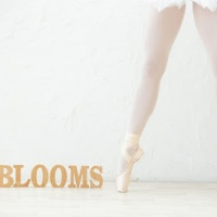 3BLOOMS