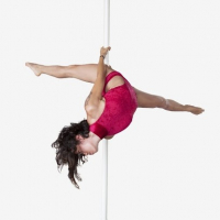 Polemic Studio