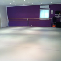 Pro Vie Danse