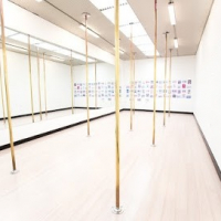 Risque Demeanor - Boutique Pole Fitness Studio
