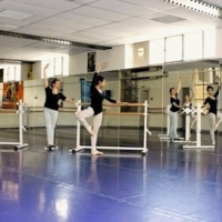 Scene Training
