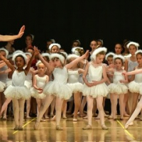 School for Swans