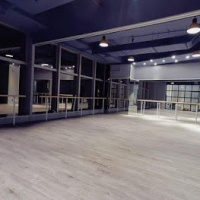 SHOW DANCE