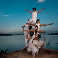 Stem Dance Kampni