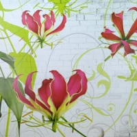 Studio Camelia