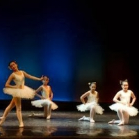 Studio Movimento