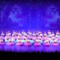 Theatre De La DanSe