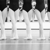 The DANCE COALITION