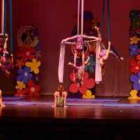 The Dance Shoppe
