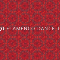 Zorongo Flamenco Dance Theatre and School
