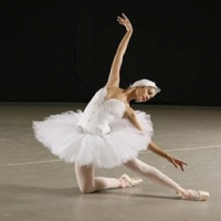 Alma Dance School
