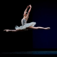 Dancepointe