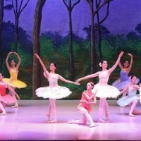 Andrea Wolff Ballet