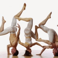 BodyVox