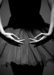 Image__48.jpg